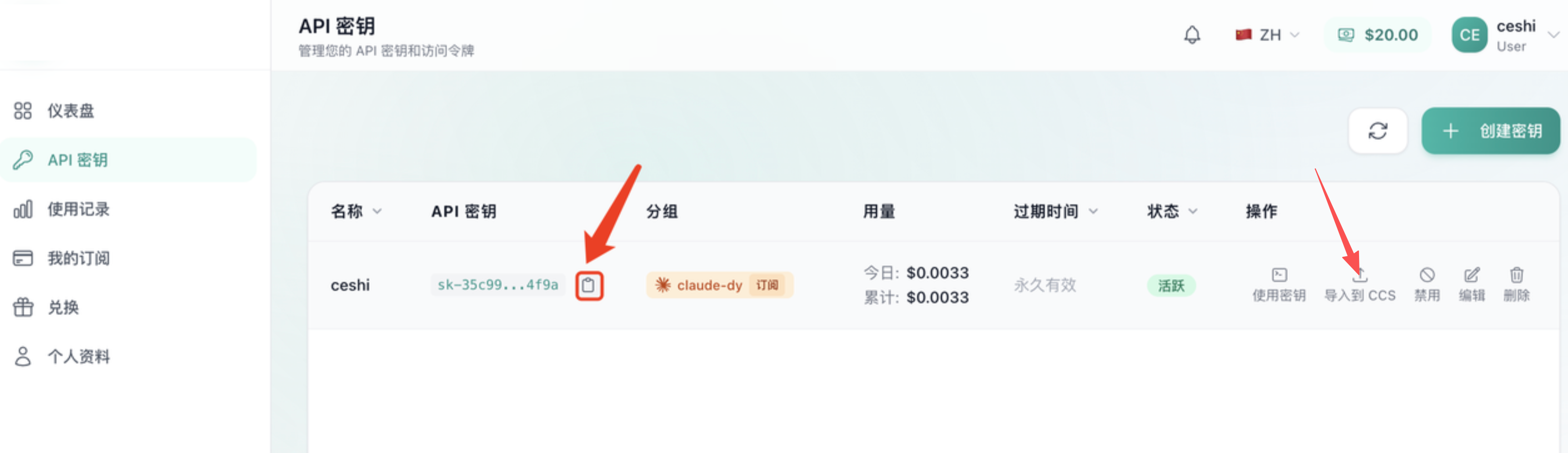 复制 API Key